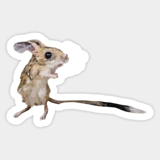 Four-toed jerboa Sticker